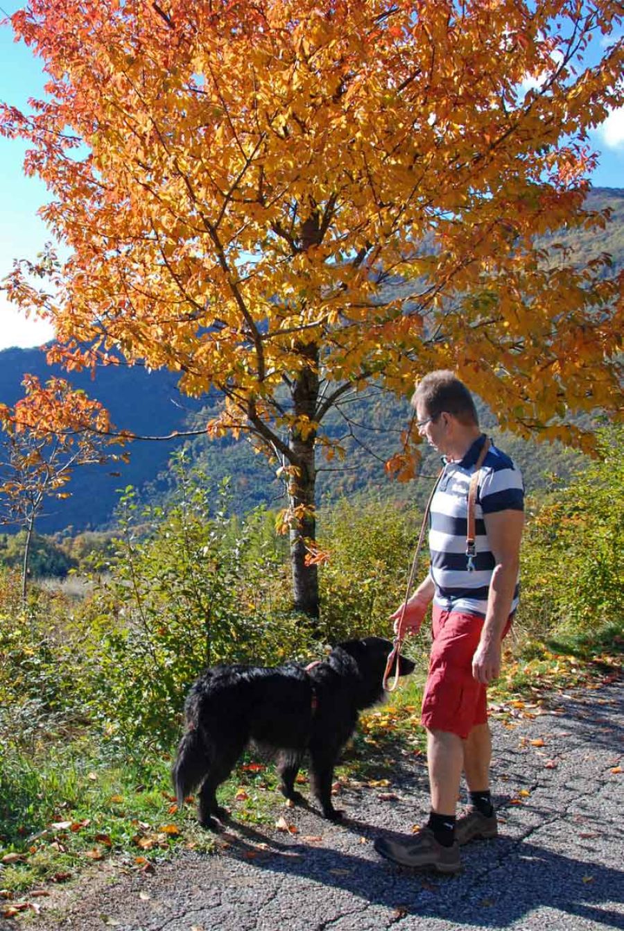 Urlaub mit Hund Italien