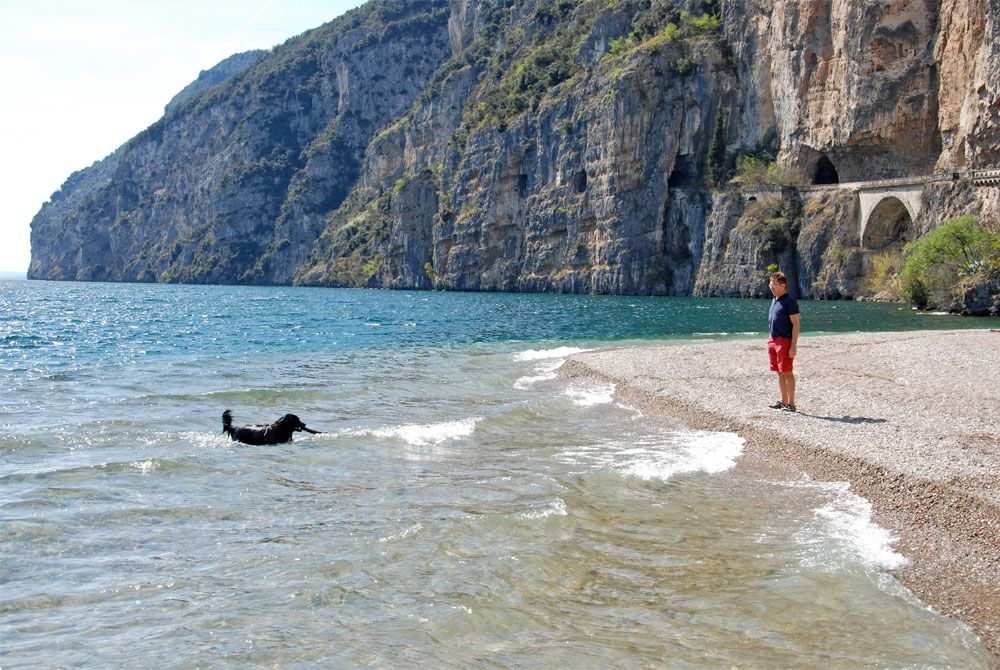 Badespass für Hunde am Gardasee in Tignale