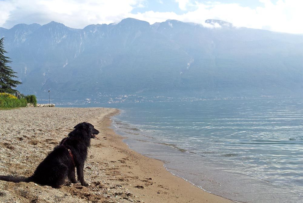 Hundestrand Italien Tignale