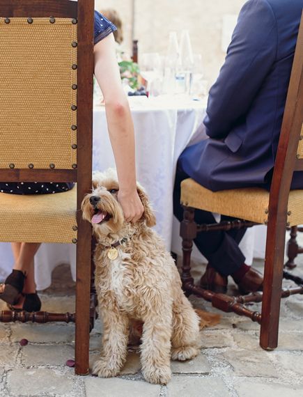 Hund und Einkehren