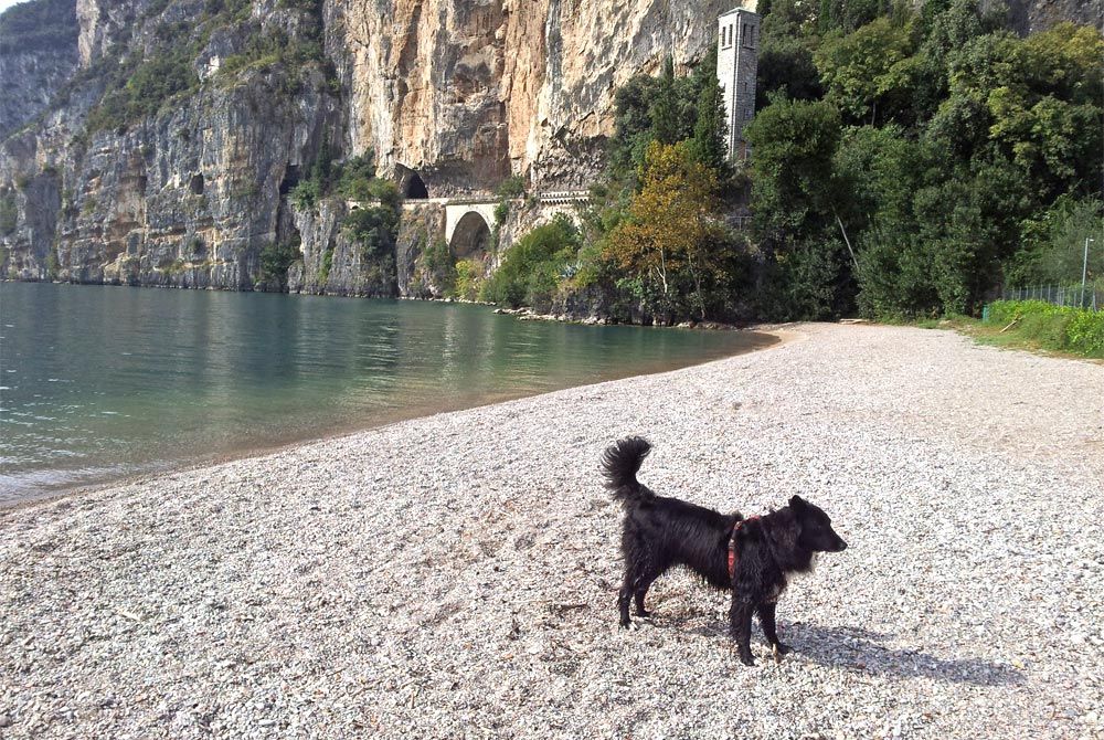 Hundeurlaub Strand