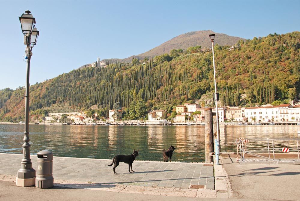 Wandern mit Hund am Gardasee