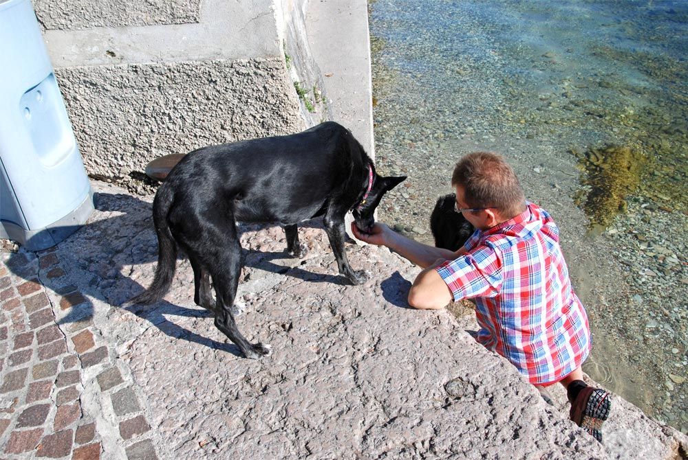 Hundespass in Tignale